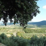 Ride your dream - tailor made tour with guide - Guides and Service Quality
