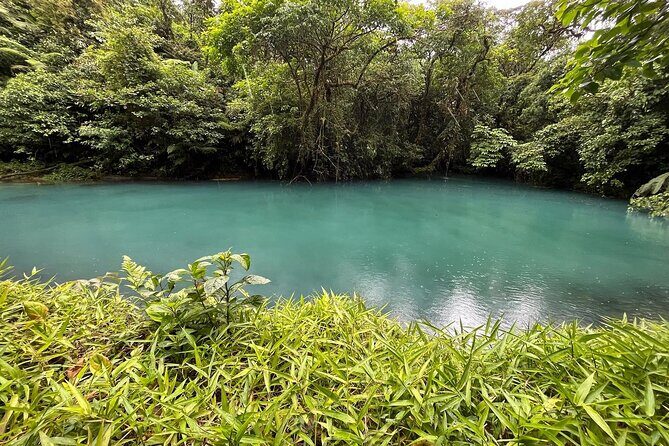 Rio Celeste Waterfall Plus Sloths and wildlife Sanctuary - Detailed Itinerary Breakdown