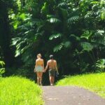 Road to Hana Full Day Tour with A Guide - Final Thoughts