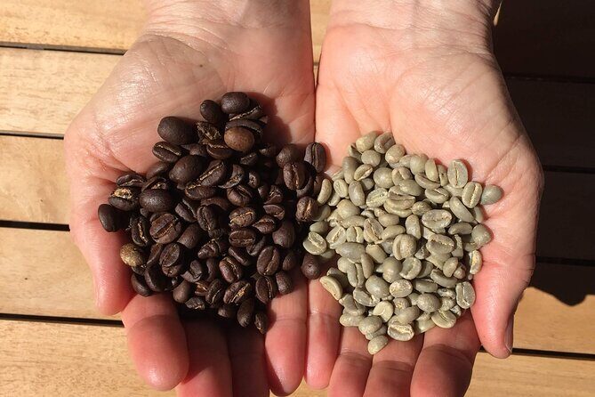 Roast Your Own Coffee - Is It Worth the Price?