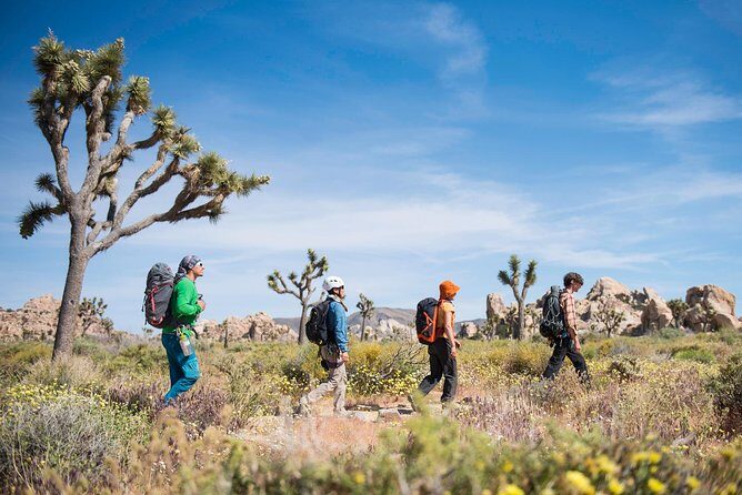 Rock Climbing Trips in Joshua Tree National Park (8 Hours) - Authentic Perspectives from Past Participants
