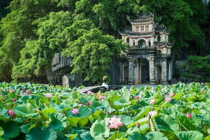 Roundtrip: HaNoi - NinhBinh - LanHa Bay on 5-Star Cruise 3days - Day 1: Ninh Binh - Land of Limestone & Rice Fields