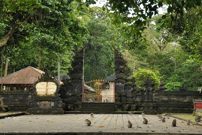 Royal Family Temple, Monkey Forest, and Tanah Lot Sunset Tour - Who Would Love This Tour?