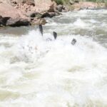 Royal Gorge Rafting Adventure - What to Expect During Your Rafting Adventure
