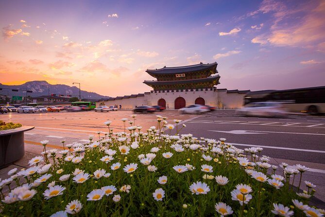 Royal Palace, Full-day Seoul City Tour (Pick up & Drop off) - Who Is This Tour Best For?