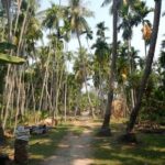 Ruins Temples of Beng Mealea Cycling Tour - Why This Tour Offers Great Value