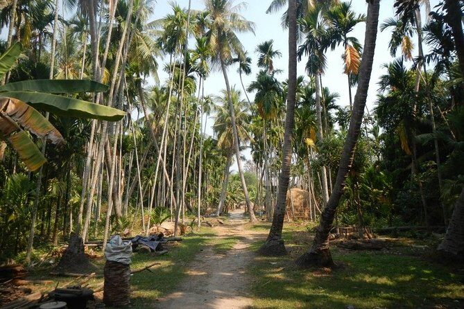 Ruins Temples of Beng Mealea Cycling Tour - Why This Tour Offers Great Value