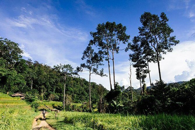 Rural Explorer Mountain Biking Tour Chiang Mai - The Itinerary in Detail
