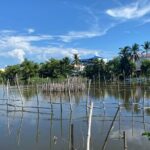 Rural Hoi An Cycling, Cooking Class at Organic Farm - Practical Details and Tips