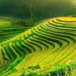 Sa Pa 2-Day Moderate Trek and Homestay Limousine Tour from Hanoi - What Could Be Improved?