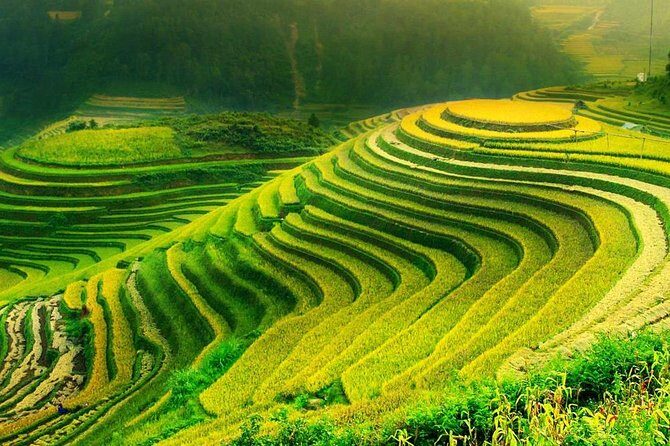 Sa Pa 2-Day Moderate Trek and Homestay Limousine Tour from Hanoi - What Could Be Improved?