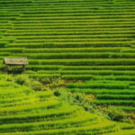Sa Pa Trekking 2 Days 3 Nights Homestay by Night Train - What Could Be Better?