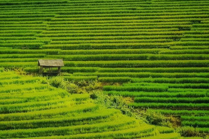 Sa Pa Trekking 2 Days 3 Nights Homestay by Night Train - What Could Be Better?