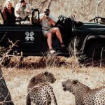 Safari In Jhalana Leopard Conservation Reserve, Jaipur - Who Will Love This Tour?