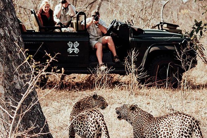 Safari In Jhalana Leopard Conservation Reserve, Jaipur - Who Will Love This Tour?
