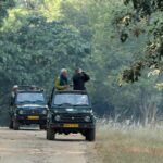 Safari in Pench National Park - What the Tour Includes and What to Keep in Mind