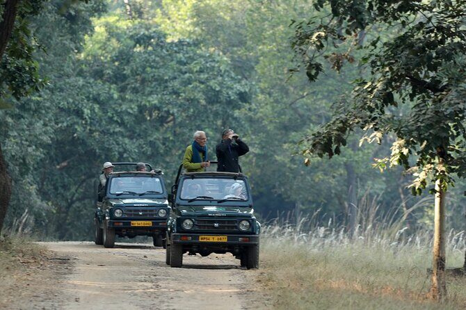 Safari in Pench National Park - What the Tour Includes and What to Keep in Mind