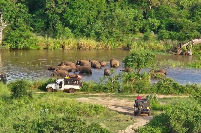 Safari Jeep in Hurulu Eco Park Sri Lanka wit Pigeon Island Tours - The Itinerary Breakdown
