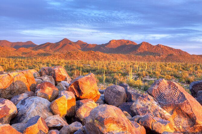 Saguaro National Park Self-Guided Audio Tour - Practical Considerations and Value