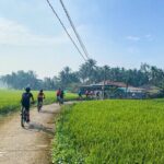Saigon Countryside Cycling Adventure - What Makes This Tour Stand Out?