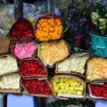 Saigon Historical City Tour - Final Thoughts: Is This Tour Worth It?