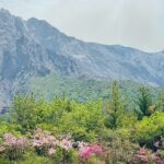 Sakurajima Century Lava Climb Journey with E-bike - Value and Practical Considerations