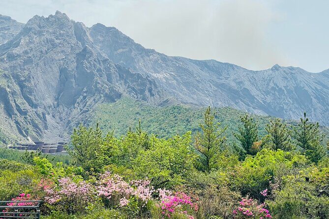 Sakurajima Century Lava Climb Journey with E-bike - Value and Practical Considerations