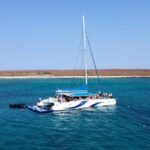 Sal: All-Inclusive Half-Day Lounge Catamaran Cruise - The Value of This Catamaran Experience