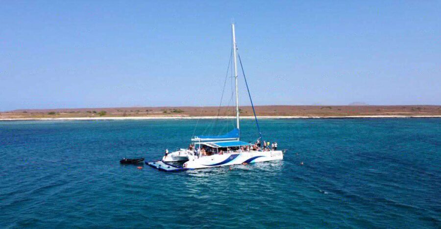 Sal: All-Inclusive Half-Day Lounge Catamaran Cruise - The Value of This Catamaran Experience
