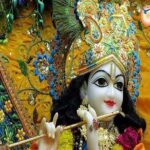 Same Day Mathura Vrindavan Tour from Delhi - Valuing the Price