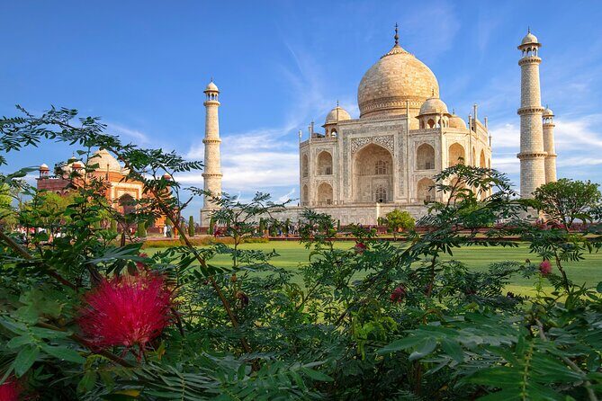 Same Day Taj Mahal Tour from Delhi - What to Expect from This Tour