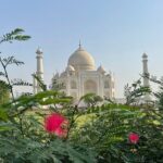 Same Day Tajmahal at Sunrise and SOS wildlife sanctuary tour - Who Is This Tour Best For?