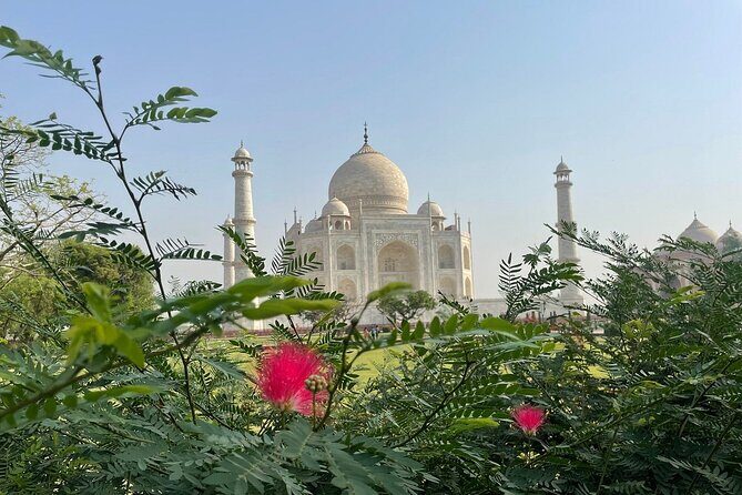 Same Day Tajmahal at Sunrise and SOS wildlife sanctuary tour - Who Is This Tour Best For?