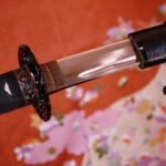 Samurai Performance and Casual Experience: Kyoto Ticket - A Closer Look at the Experience