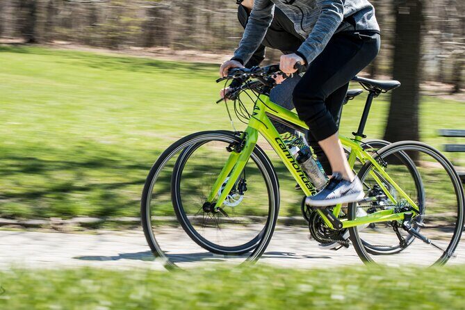 San Diego Bike Rentals - Authentic Insights from Reviewers