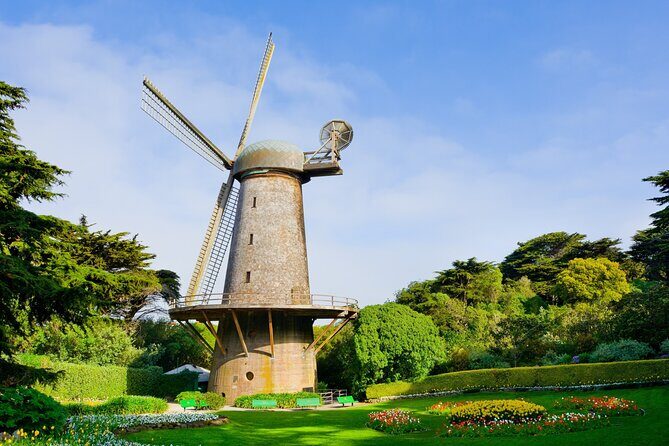 San Francisco Golden Gate Park Tour - A Deep Dive into the Golden Gate Park Tour
