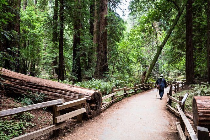 San Francisco, Golden Gate, Sausalito and Muir Woods Private Tour - Who Is This Tour Best For?