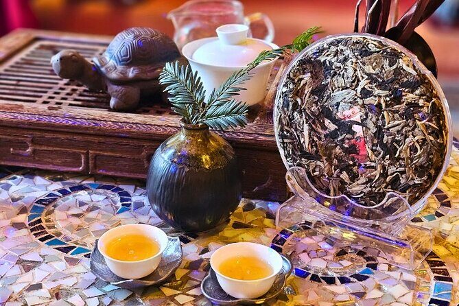 San Francisco Gregangelo Museum - Tea In Wonderland Tour - The Itinerary Breakdown