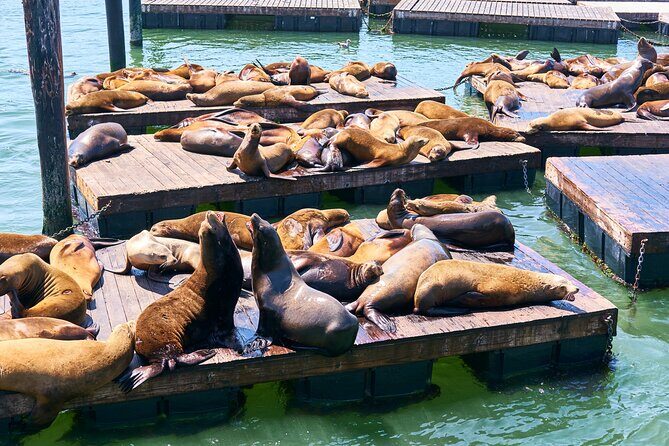 San Francisco Uncovered Self-Guided Adventure - Who Should Consider This Tour?