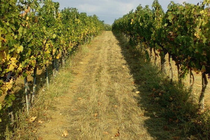 San Gimignano and Chianti tour - Why This Tour Offers Real Value