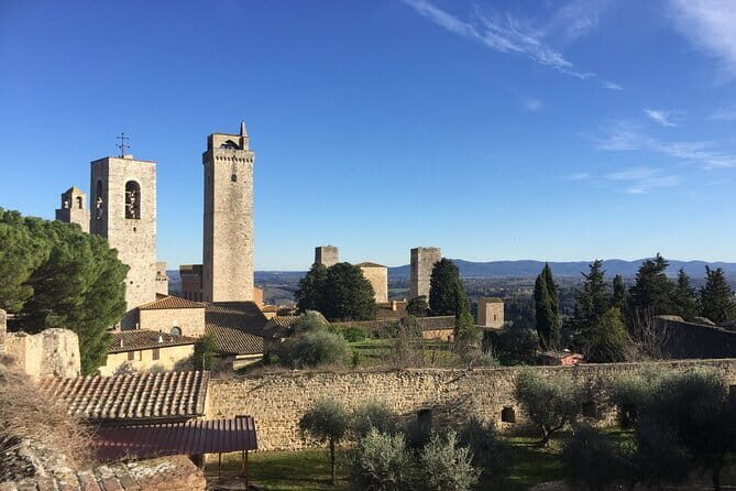 San Gimignano, Saffron and Vernaccia Wine from Florence - Who Is This Tour Best For?