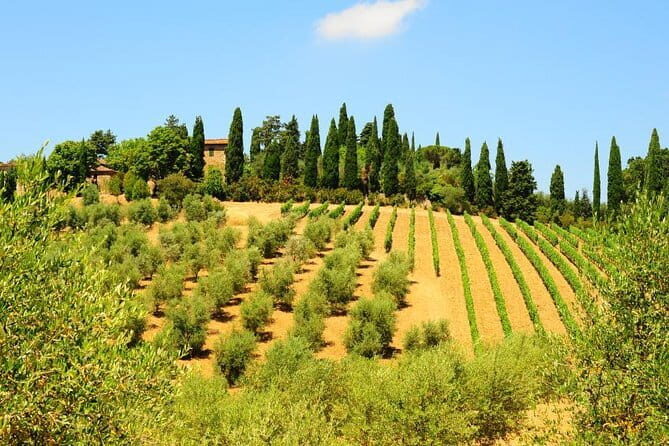 San Gimignano, Siena, Monteriggioni: Fully Escorted Tour, Lunch & Wine Tasting - How the Experience Comes Together