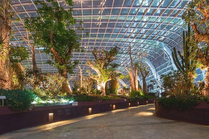 SandsSkyPark+GardensbytheBay(FlowerDome&Jurassic World)Transfers - What to Expect at Each Stop