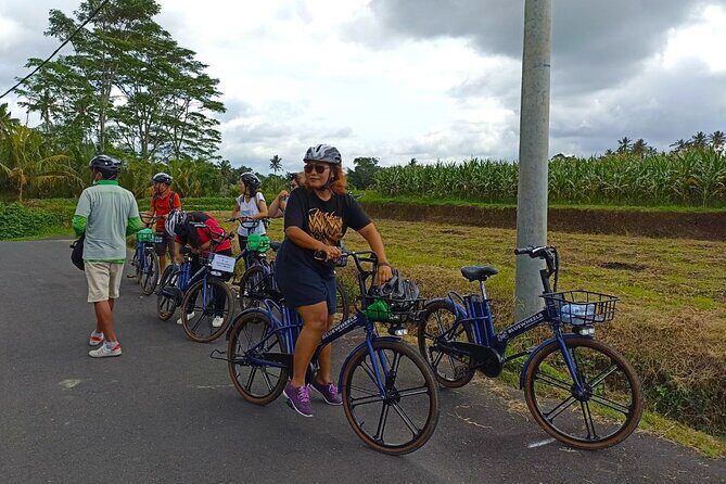 Sanur Village E-bike Tour: Family-Friendly Adventure - The Experience in Real Terms
