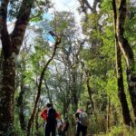 Sapa 1 day trek with local guide to the village by Comlam - Who Would Love This Tour?