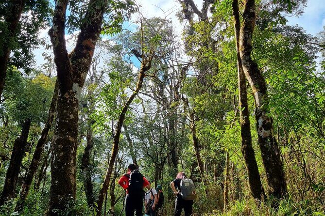 Sapa 1 day trek with local guide to the village by Comlam - Who Would Love This Tour?