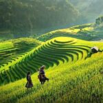 Sapa 2 Days 1 Night Bac Ha Market Tour (Overnight In Hotel) - Who Is This Tour Best For?