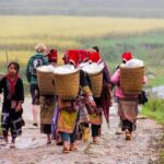 Sapa 2 Days 1 Night from Hanoi - Hotel Stay - Final Thoughts