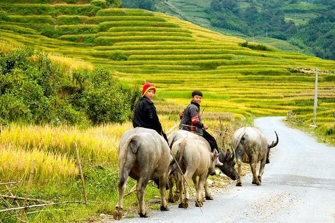 Sapa 3 Days 2 Nights Trekking Tour (1 Night In Ta Van Village, 1 Night In Hotel) - What Makes This Tour Stand Out