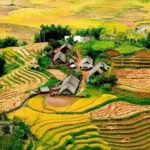 Sapa 3 Days Trekking Tour ( Overnight Train + Homestay + Hotel ) - Potential Drawbacks or Considerations